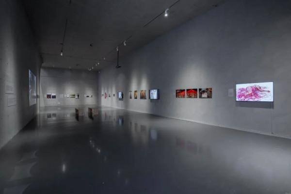 鹽田千春:紅與黑之間 缺席中的存在 鹽田千春:紅與黑之間 缺席中的存在