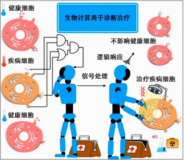 比“蟻人”還小的奈米機器人，正走在抗腫瘤的路上