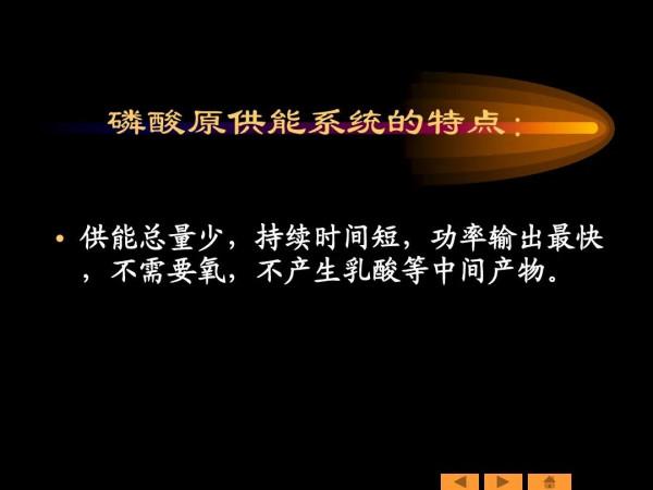 有氧運動代謝能力有壞處？