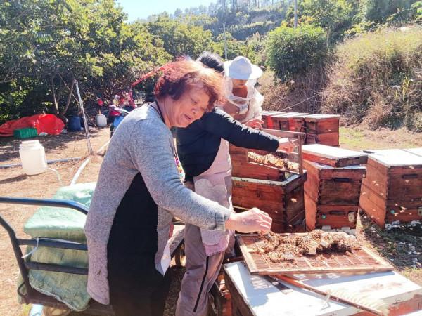 與義大利蜜蜂的一次親密接觸 與義大利蜜蜂的一次親密接觸