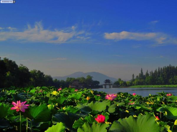 申遺成功十週年 杭州西湖做了哪些事兒？