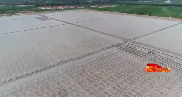 草原上的“四季番茄小鎮” 草原上的“四季番茄小鎮”