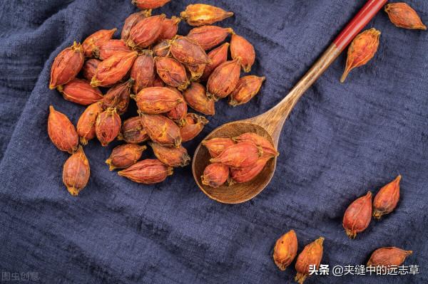 皮下出血，紫癜？送你四味中藥，清熱解毒，涼血散瘀，血寧瘀自消