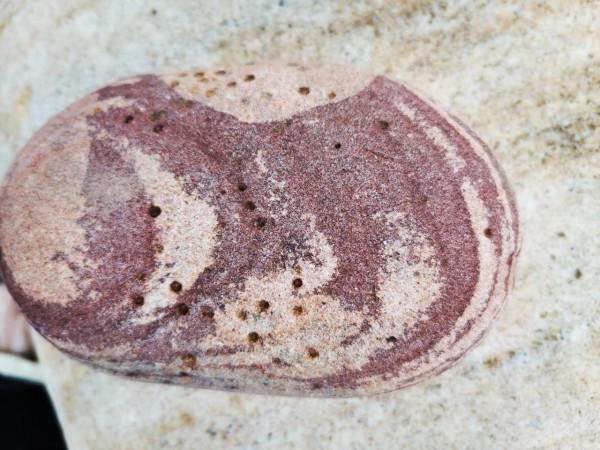 一枚形象逼真的“夢”字奇石,你喜歡嗎? 一枚形象逼真的“夢”字奇石,你喜歡嗎?