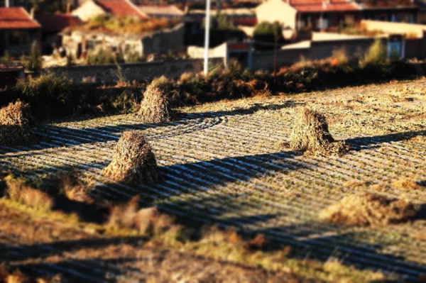 20個小眾旅行地,名氣不大,但景色絕不打折,快快安排上吧 20個小眾旅行地,名氣不大,但景色絕不打折,快快安排上吧