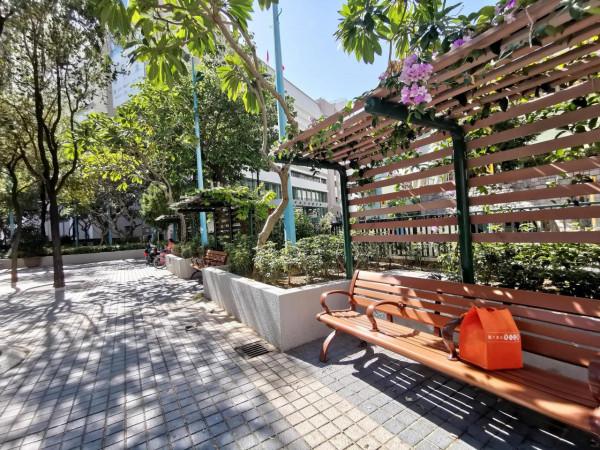 像當地人那樣，我在公園裡坐了半天