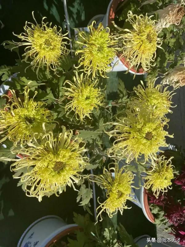 感受祖國風光 感受祖國風光