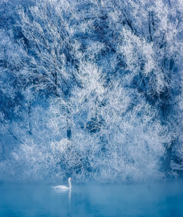 新疆剛下雪，小夥伴不淡定了：原來冬天的新疆是這樣的