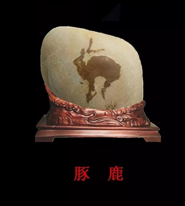 2021年“奇石”博覽會