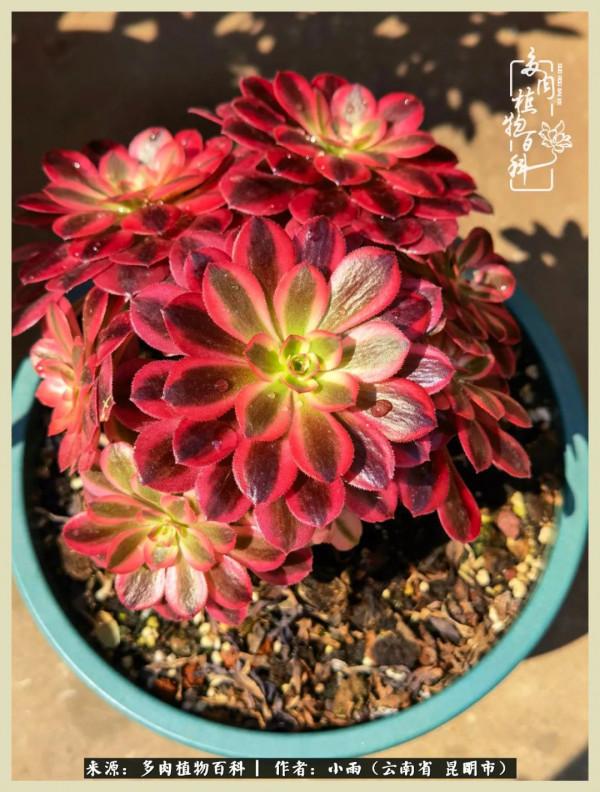 用一份熱愛，溫暖一段時光