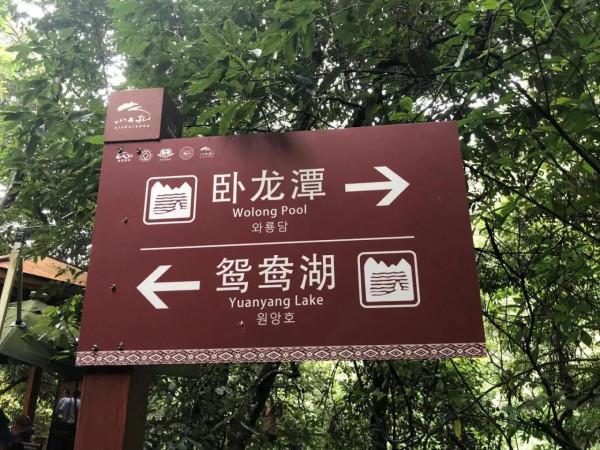 遊荔波臥龍潭 遊荔波臥龍潭