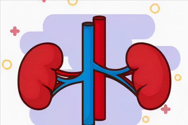 臟腑虛證自測,16種虛症,你是哪一種?快來下方討論區自檢吧 臟腑虛證自測,16種虛症,你是哪一種?快來下方討論區自檢吧