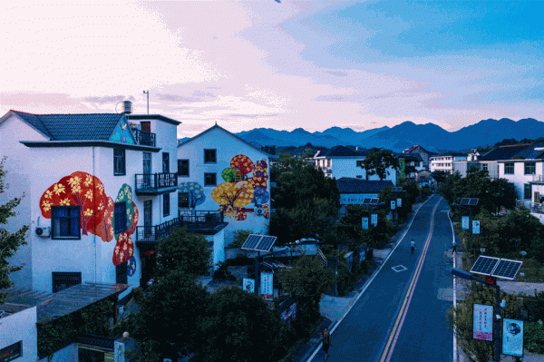 衢州農民建“一米菜園”5畝地巧賺20萬,如何規劃成亮點,不簡單 衢州農民建“一米菜園”5畝地巧賺20萬,如何規劃成亮點,不簡單