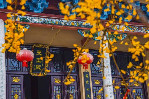 湖南有座古剎，相傳被“五條龍”守護，是湘潭境內四大古剎之一