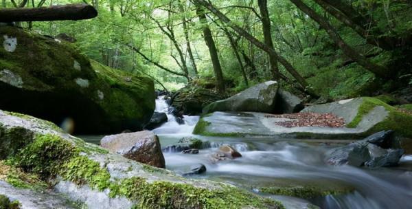陝西值得一去的景區，視覺美感程度極佳，是處絕佳避暑勝地