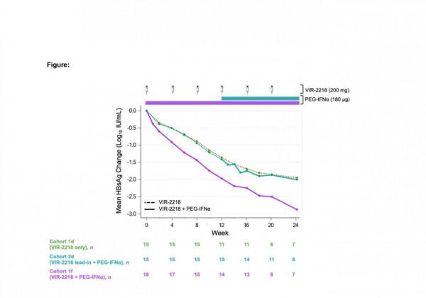 在研乙肝新藥VIR-2218，II期組合PEG-IFN&alpha;，HBsAg更早更顯著下降