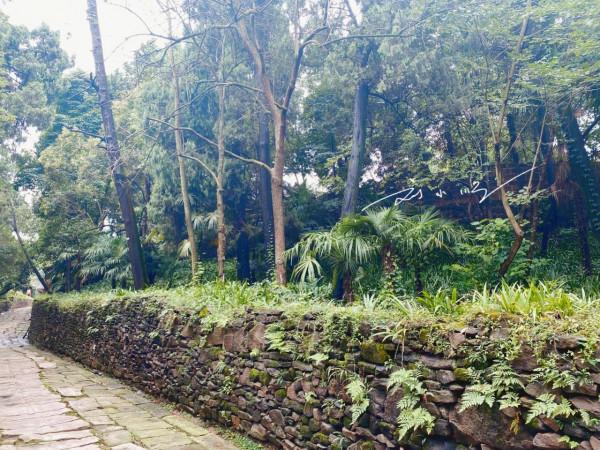 四川德陽著名的4A級旅遊景區，被認為與三星堆齊名，遊客卻不多