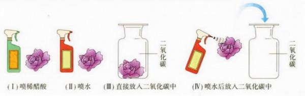 二氧化碳的性質、實驗室製取方法及注意事項、以及二氧化碳的檢驗 二氧化碳的性質、實驗室製取方法及注意事項、以及二氧化碳的檢驗