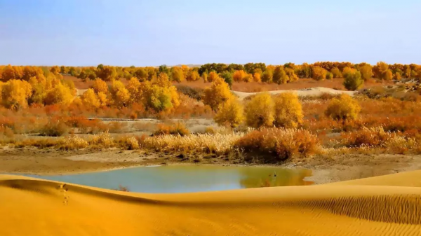 中國古今十之最,長見識了! 中國古今十之最,長見識了!