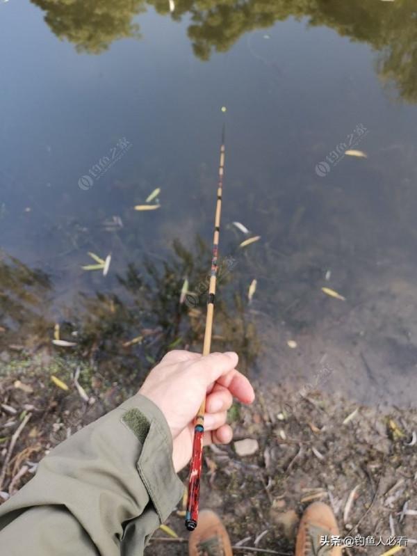 那個釣蝦仔又來了，順便開光新做的小物竿