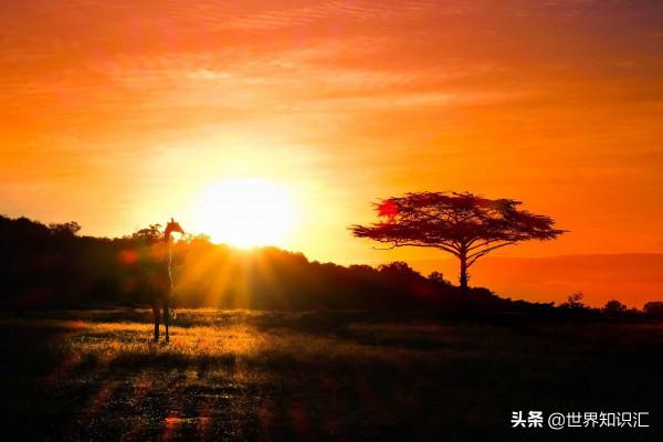 坦尚尼亞，曾經的貿易中心，27個有趣的事實帶你深入瞭解這個國家