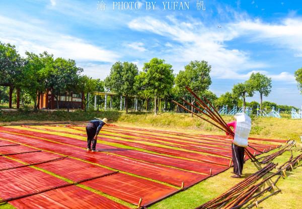 旅途中偶遇風光大片，瞭解卻是差點失傳的國家級非遺，非常了不起