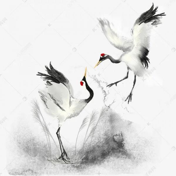 為什麼丹頂鶴常常單腿獨立？