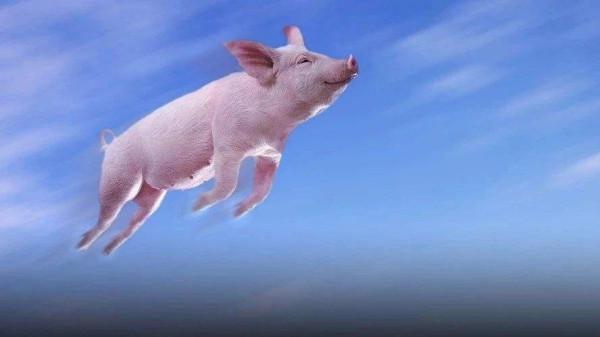 農村大姐花126萬買套房,現在卻掉價65萬,讓她接受不了!崩潰了 農村大姐花126萬買套房,現在卻掉價65萬,讓她接受不了!崩潰了