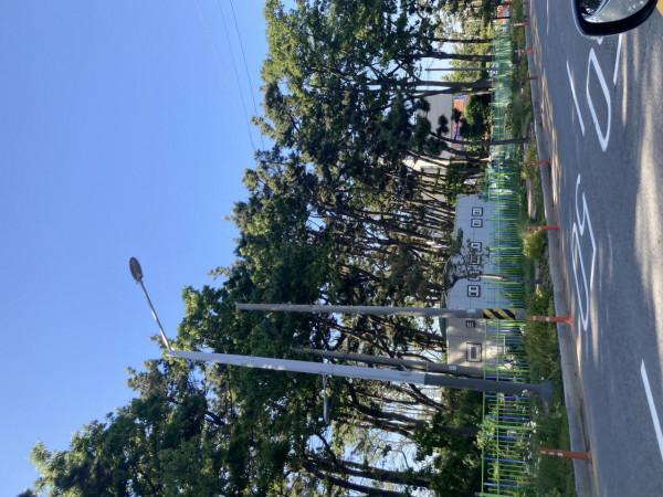 我於我內心所想 我於我內心所想