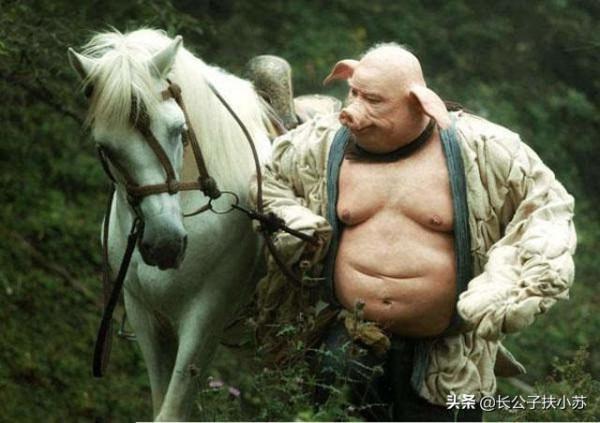 取經路上,豬八戒為啥總想賣掉白龍馬?你看他們曾經有過什麼過節 取經路上,豬八戒為啥總想賣掉白龍馬?你看他們曾經有過什麼過節