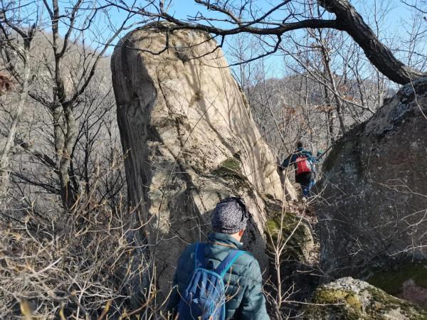 遊汝陽西石林之一武家山