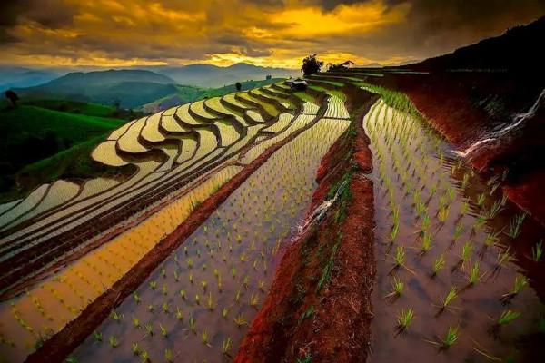 仙境一般的梯田美景，氣勢磅礴壯觀，無與倫比