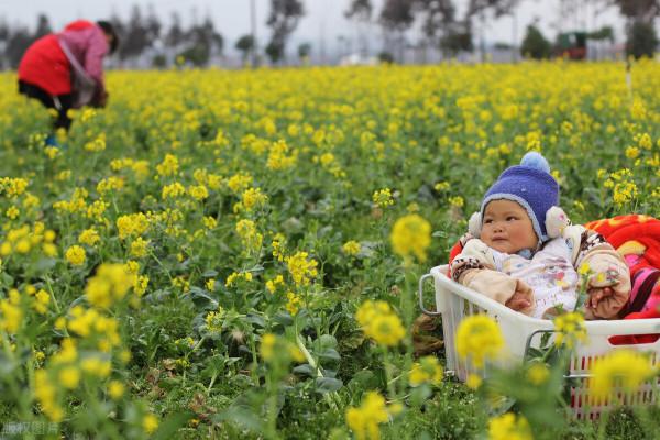 一位56歲大媽，8年連續痛失五位至親，是因果報應還是風水不好