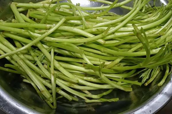 炒黎蒿過水炒還是直接炒？教你正確做法，脆嫩爽口顏色碧綠不發黑