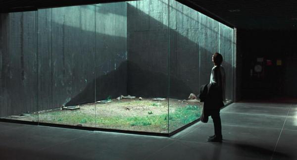 記憶&mdash;&mdash;這位蟄伏於熱帶雨林的天外來客終於飛遠了