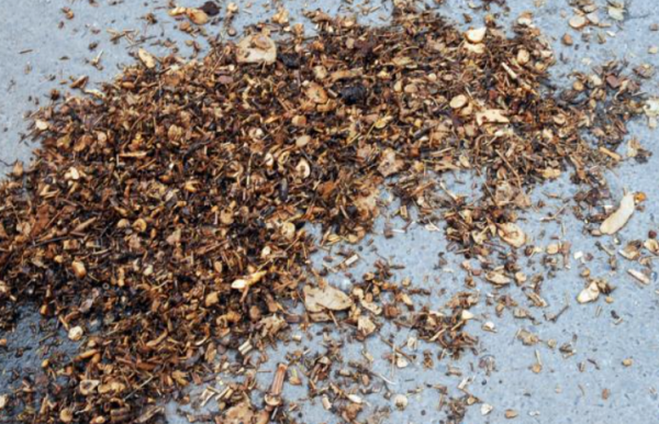 8種生活&OpenCurlyDoubleQuote;垃圾&rdquo;不要扔，養花稱得上&OpenCurlyDoubleQuote;好材料&rdquo;，既省錢又不傷花