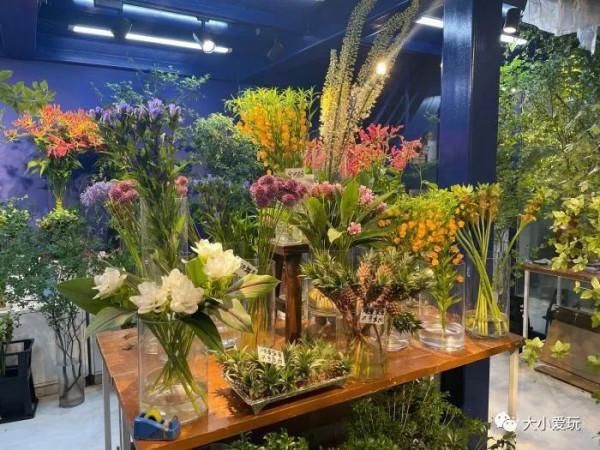 京城八大寶藏花市裡,藏著孩子最愛的植物園和水族館,冬日逛起來 京城八大寶藏花市裡,藏著孩子最愛的植物園和水族館,冬日逛起來