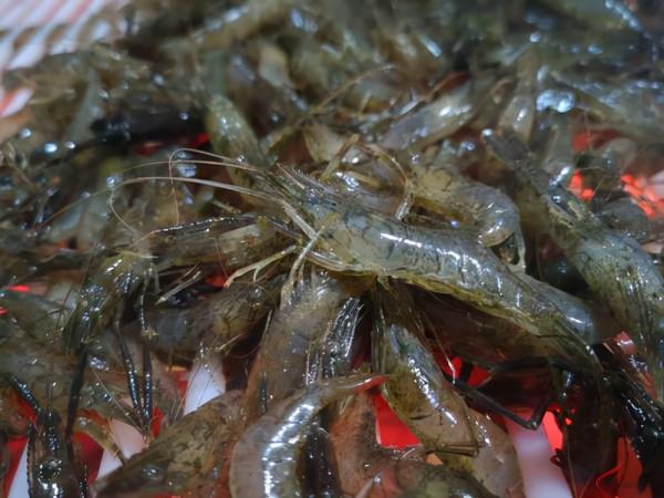 農村什麼最好吃？當然是野味，小時候喜歡的這些野味，已逐漸消失