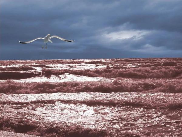 海洋的景色，真美