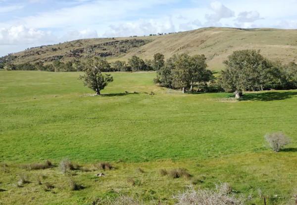 一路向東，乘“鴕鳥號”旅遊列車，從阿德萊德到巴拉瑞特