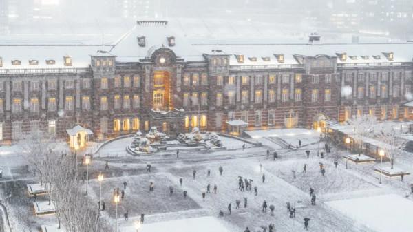 2022東京初雪,這個近45年來最冷的冬天,美翻了 2022東京初雪,這個近45年來最冷的冬天,美翻了