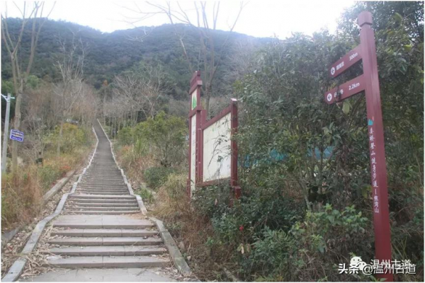 戶外迷路焦灣山，脫險經驗供分享