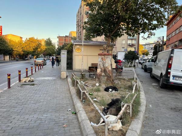 伊茲密爾四年沒見，如今在主城區已經滿街是黑人了