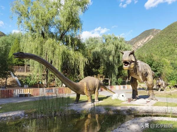 金秋打卡延慶百里畫廊 尋遊覓靜最佳山水境地~