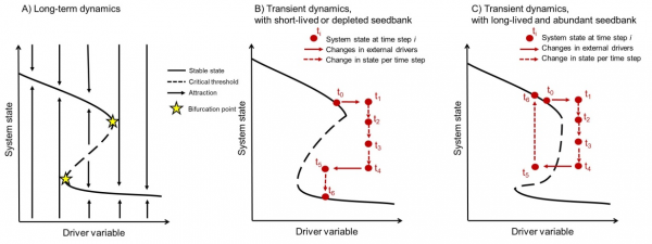 生命科學學院系列研究揭示了土壤種子庫在多穩態理論中的作用及氣候變化的影響