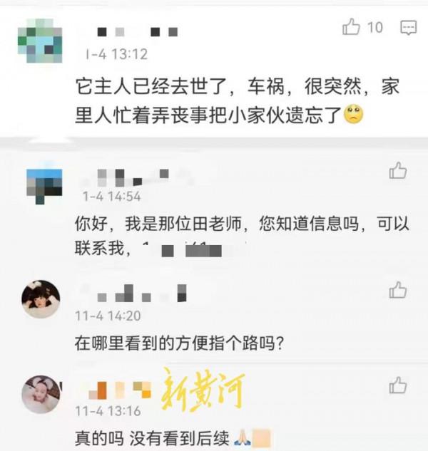 “濟南版忠犬八公”衝上熱搜:兩個濟南人的愛心接力 “濟南版忠犬八公”衝上熱搜:兩個濟南人的愛心接力