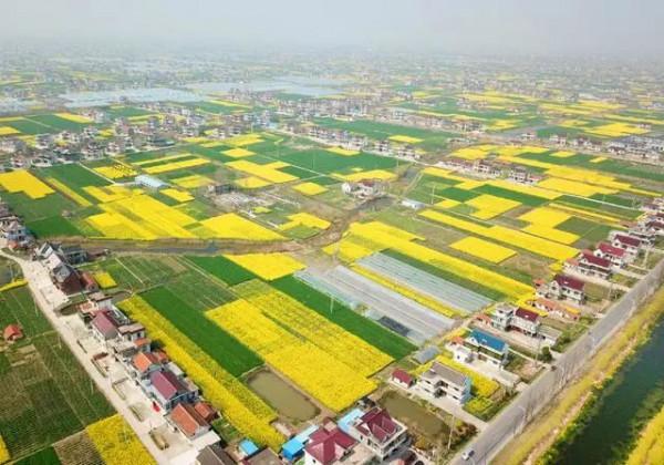 涉20個村！通州這鎮美麗鄉村建設迎大動作