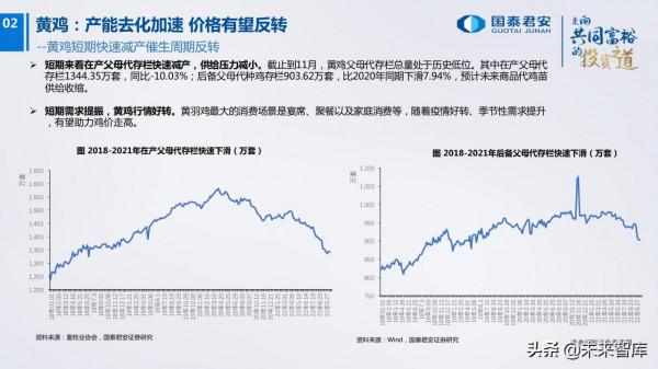 農業研究及2022年投資策略:柳暗花明 農業研究及2022年投資策略:柳暗花明