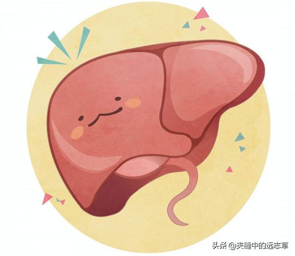腎在志為恐，其華在發，今天好好聊聊鬚髮早白、脫髮的問題