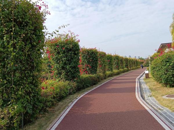 百看不厭的市花公園，不只有三角梅花，還有動物呦